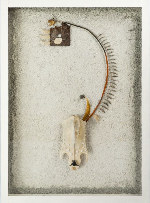 Portfolio Kunst Bild